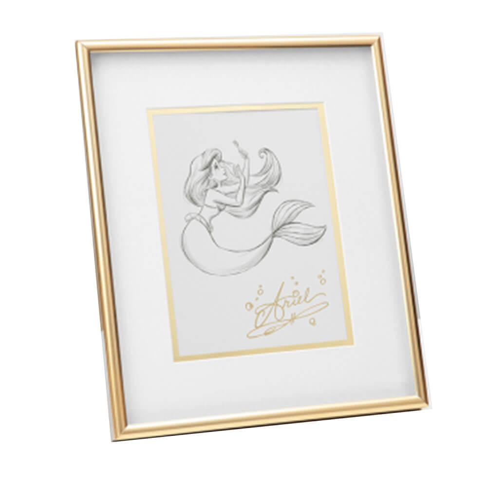 Ariel Collectible Framed Print  |  Camera & Photo Camera & Photo Camera & Photo