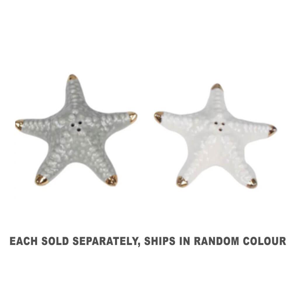 Sirie Porcelain Sea Star With Foil Tips 2 Assorted Colors  |  Gardening Gardening Gardening