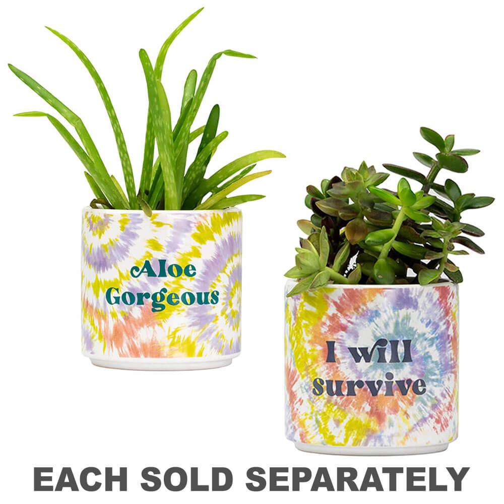 Tie Dye Planter (Small)  |  Gardening Gardening Gardening