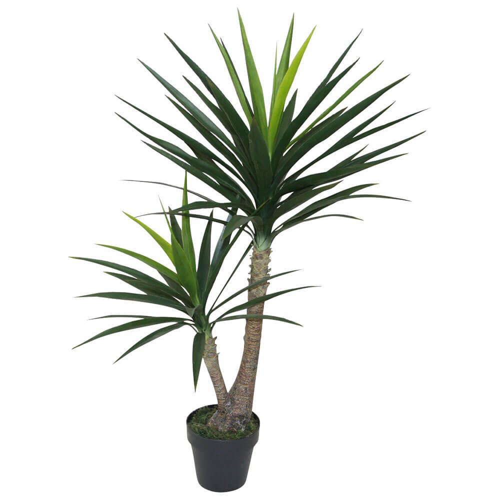 Yucca Plant In Pot 125Cm  |  Gardening Gardening Gardening